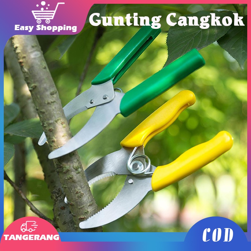 Gunting Cangkok/Gunting Khusus Untuk Mencangkok/Tanaman Gunting Cincin/Tanaman Bunga Hias Grafting