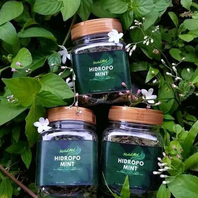 

' Teh Mint Hidroponik