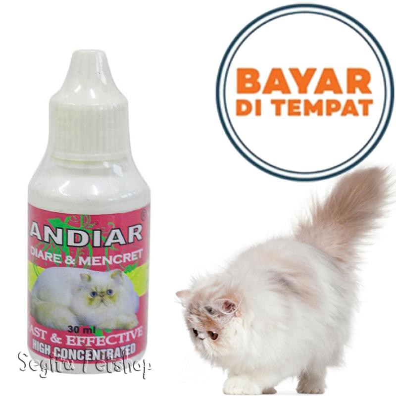 OBAT KUCING KITTEN ANDIAR ANTI DIARE SAKIT MENCRET