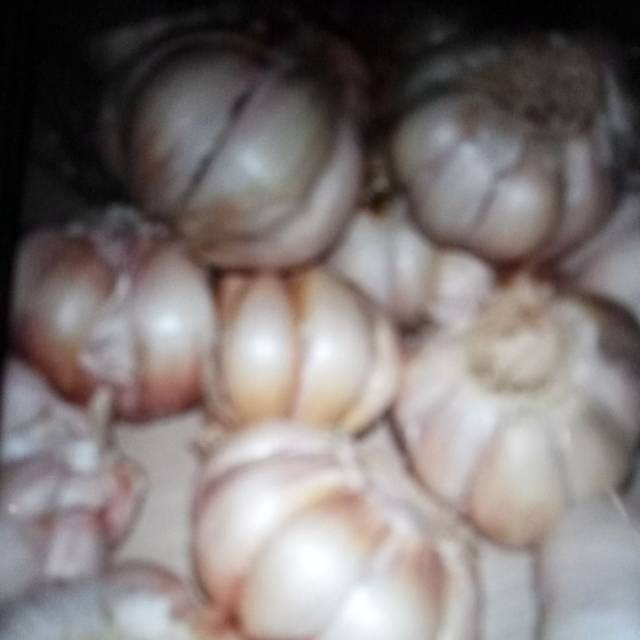

bawang putih
