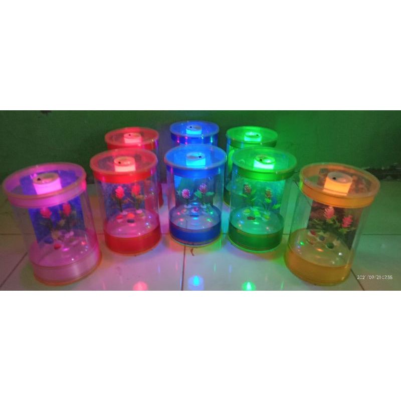 aquarium mini ikan cupang LED big short