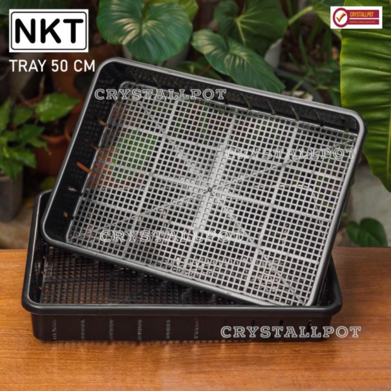 Tray pot untuk semai bibit hidroponik 50cm - TRAY POT NKT 50CM