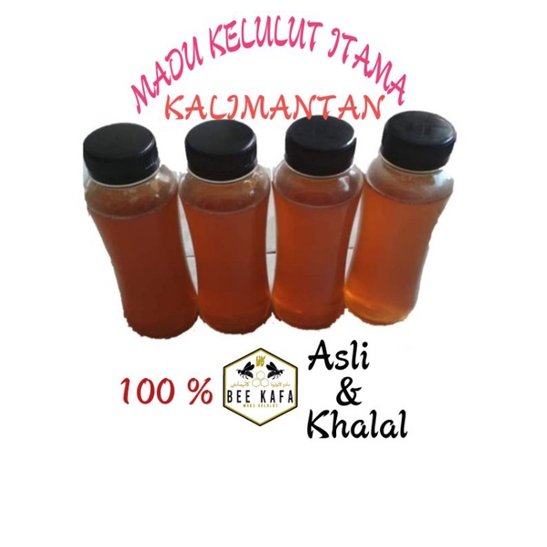 

madu kelulut itama kalimantan 250 cc