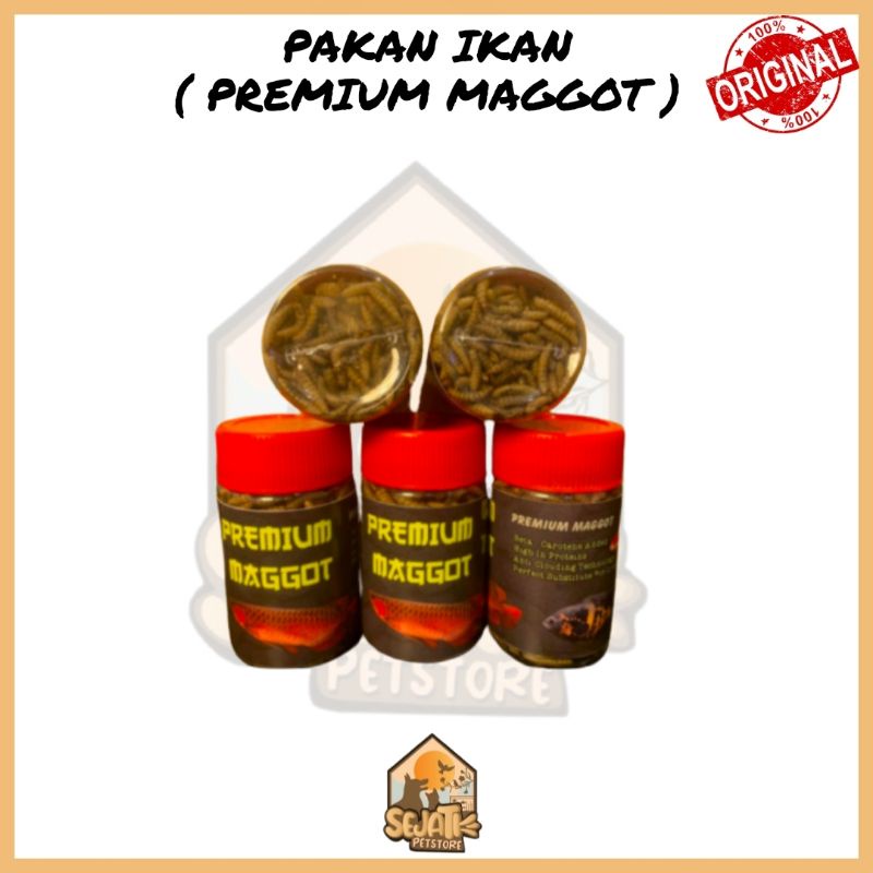 maggot premium magot bsf kualitas premium maggot ulat kering makanan ikan