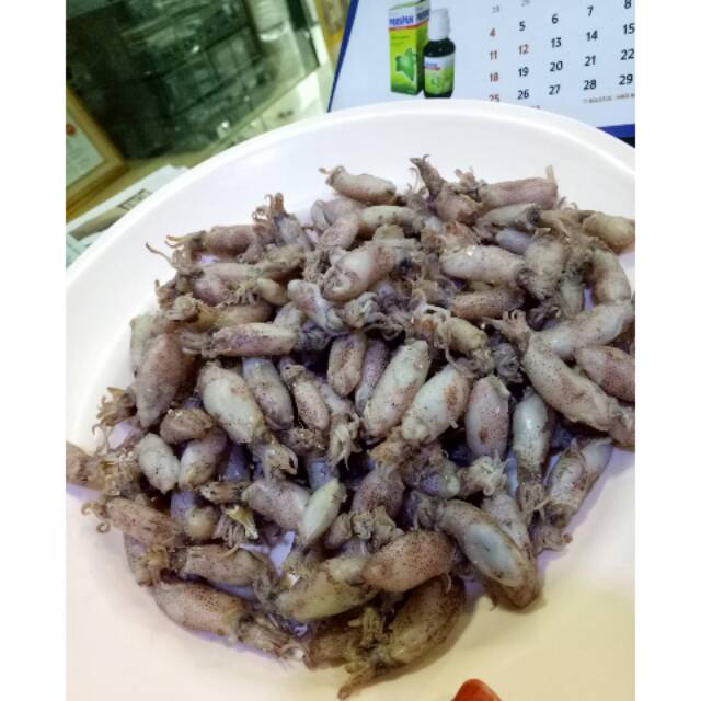 

Cumi asin sedang
