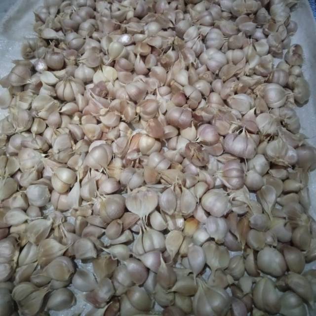 

Bawang Putih Kating Gede Gede 1KG