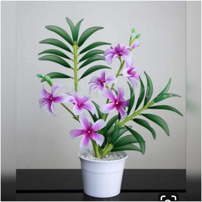 Bunga Anggrek Bahan Stoking