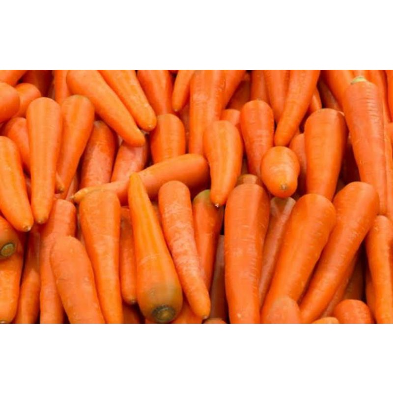 

wortel import brastagi asli per500gr