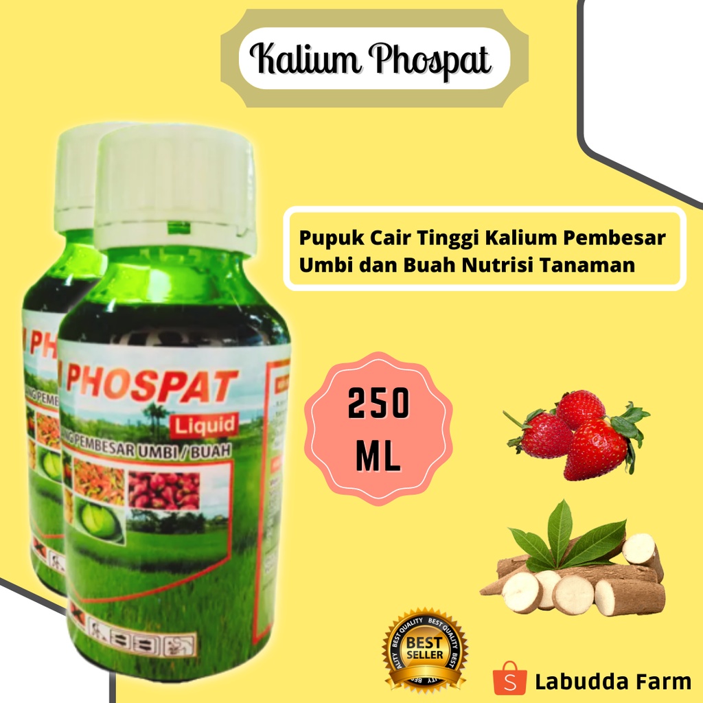 Pupuk Cair Kalium Phospat - Kalium Phospat Cair - Pupuk Cair Kalium Tinggi - Phospate Pupuk - Kalium