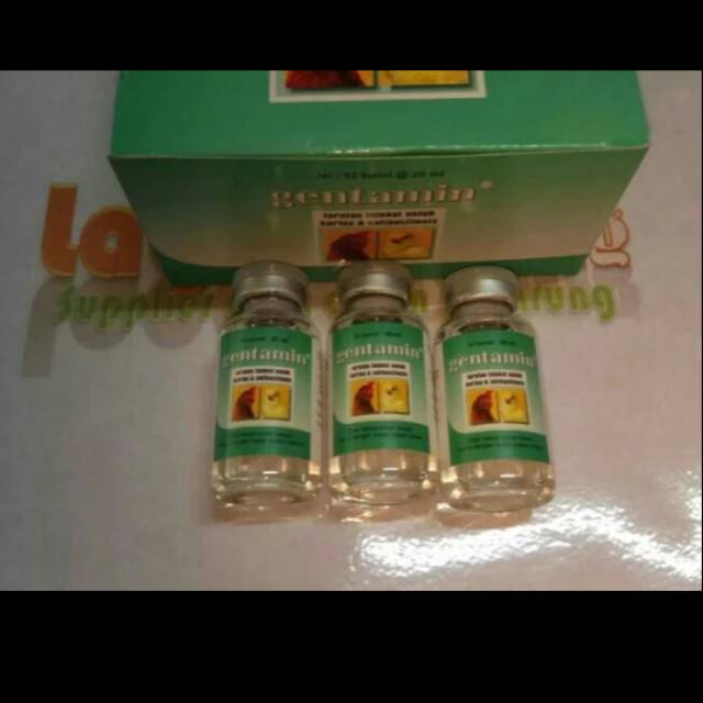 gentamin 20ml obat ayam burung sakit kolera pilek ngorok