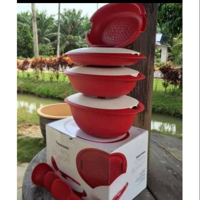 PROMO Wadah Blossom Collection Warna Merah Tupperware