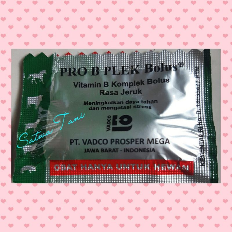 Pro B Plek 1 bolus (vitamin b komplek rasa jeruk)