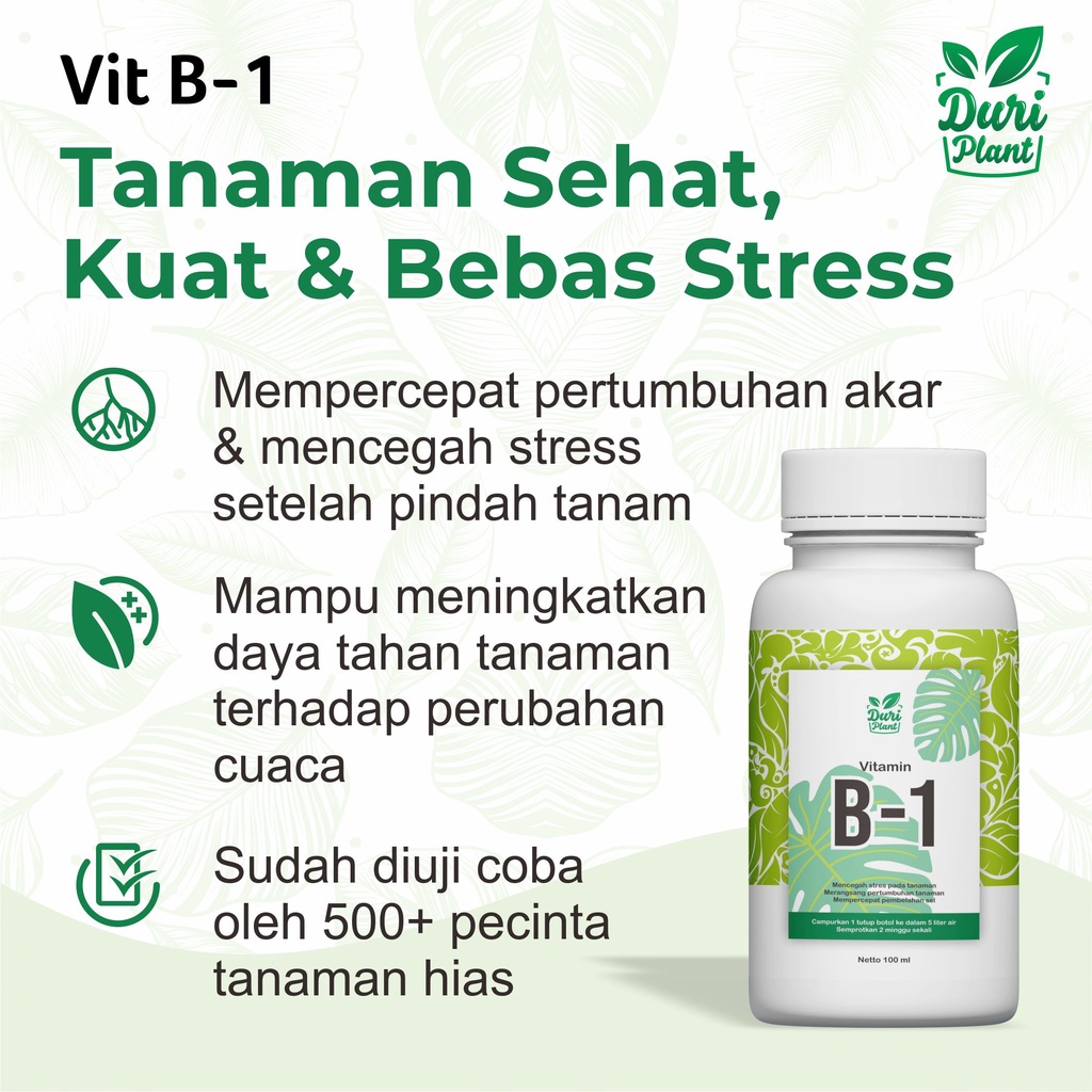 Jual Vitamin B1 Tanaman Hias Anti Stress (100 Ml) | Shopee Indonesia