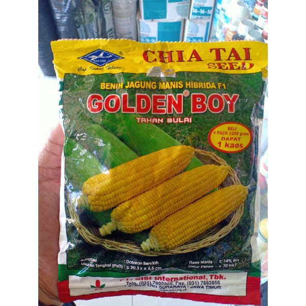

Jagung Manis F1 Golden Boy 250 gram