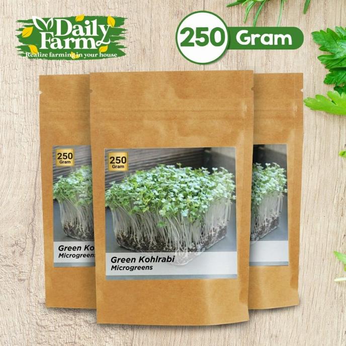 Benih Sayur Microgreen Green Kohlrabi Microgreen ( 250 Gram )