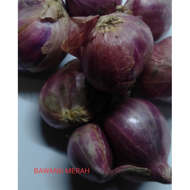 

Bawang Merah