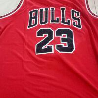 jordan 23 bulls jersey