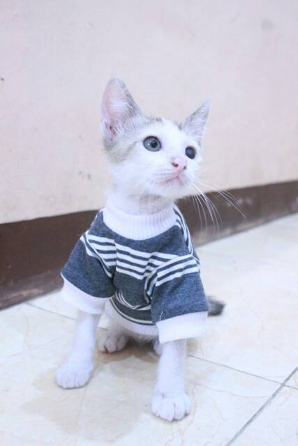 Kaos strip putih abu lengan panjang untuk kucing dan anjing size S M L XL