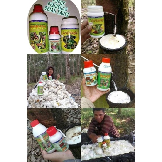 PAKET PUPUK KARET NASA/PUPUK KARET/GETAH KENTAL MENINGKAT
