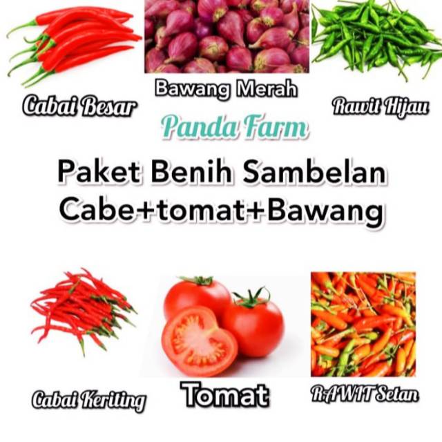 Paket Hemat Benih Sambelan Aneka Cabai, Tomat, Bawang Merah