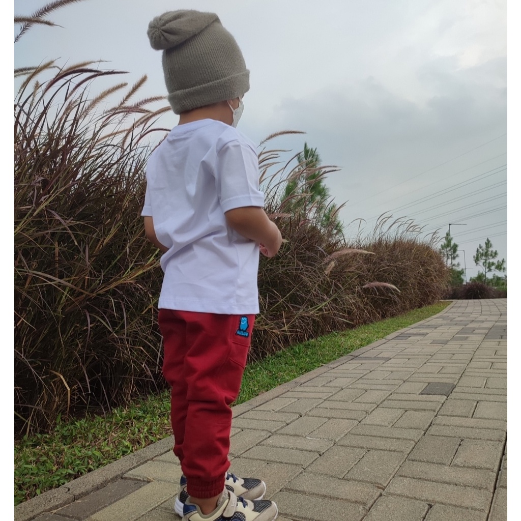 Celana Jogger Panjang Anak Laki Laki Perempuan Unisex Distro Premium Bahan Baby Terry