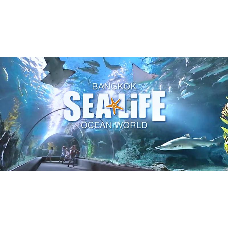 Tiket Siam Ocean World Sea Life + Glass Bottom Boat Ocean Feeding (Dewasa/Anak)