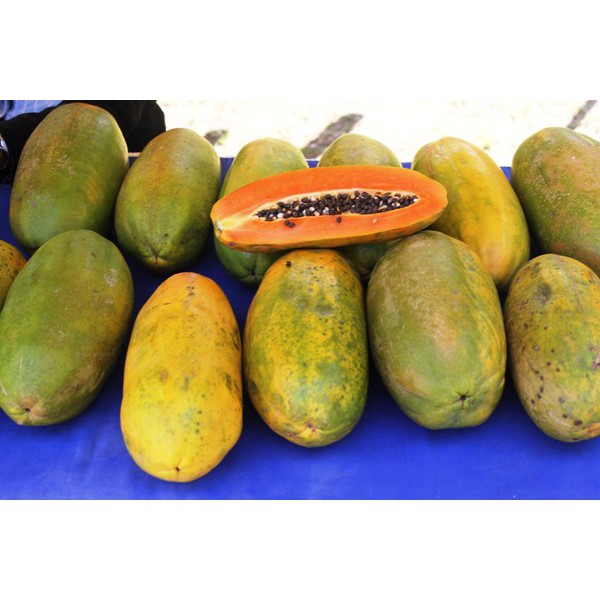 

Pepaya california buah pepaya