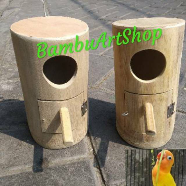 Image of Glodok bambu lovebird berdiri #1
