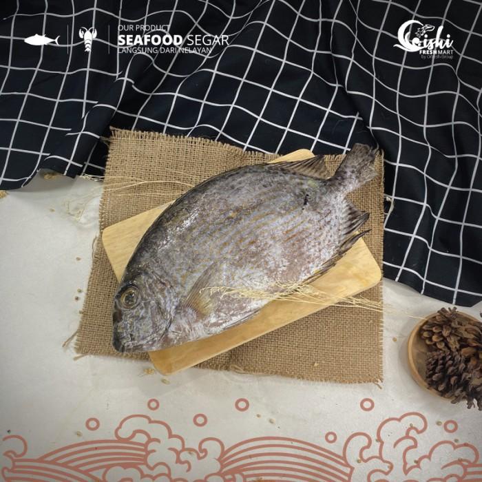 

Fisho | Ikan Baronang Tulis Standar Lokal Segar Dan Bergaransi / Pack Ready stock