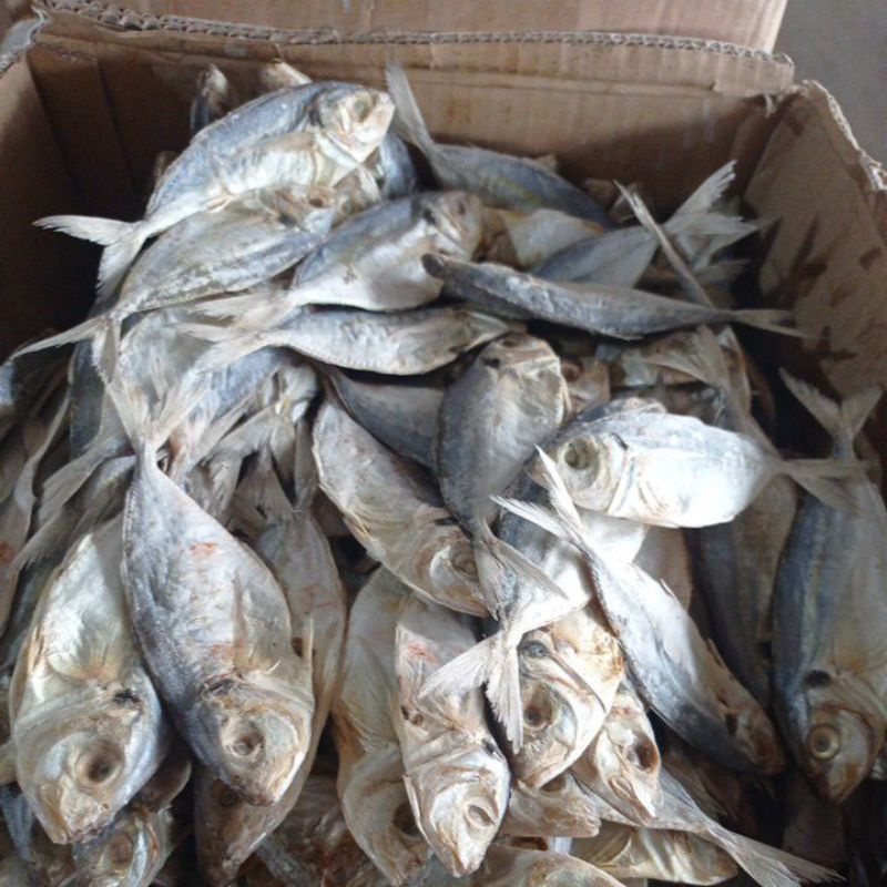 

IKAN SELAR ASIN 1KG