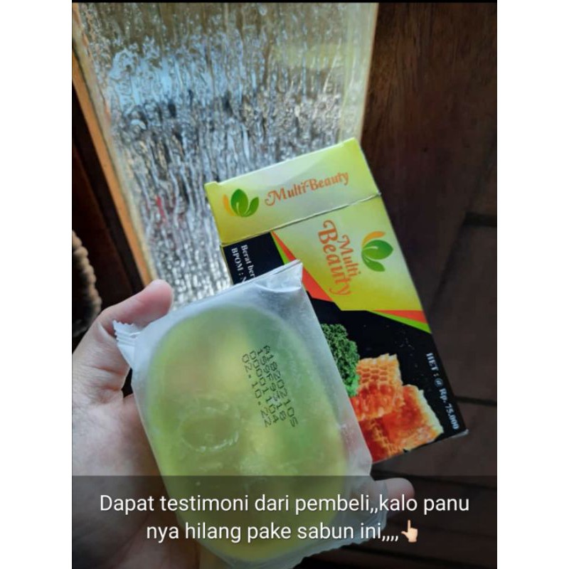 Multi Beauty Soap