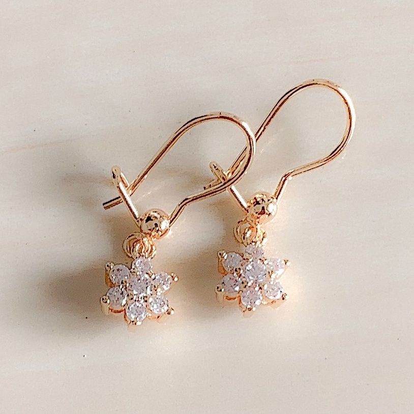 Anting Wanita / Giwang Wanita Bintang Enam Full Zirconia Gold Xuping