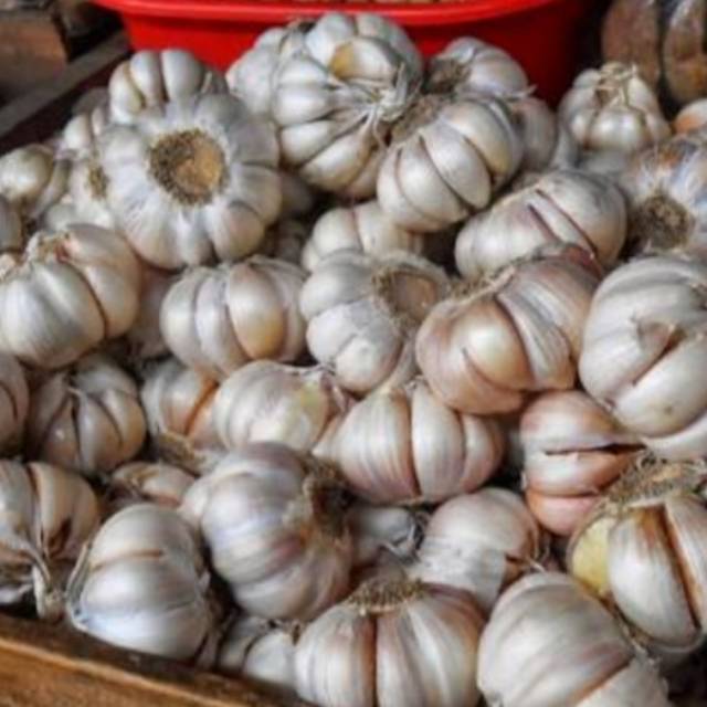 

Bawang putih 1kg