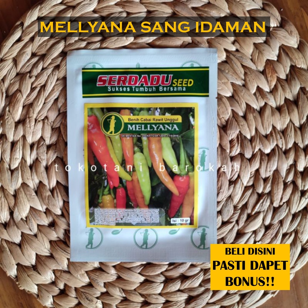 Benih Cabe Rawit MELLYANA 10 gram serdadu seed ori