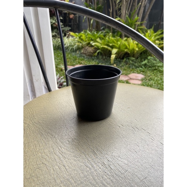 Pot Tanaman / Pot Bunga Hitam 10 cm