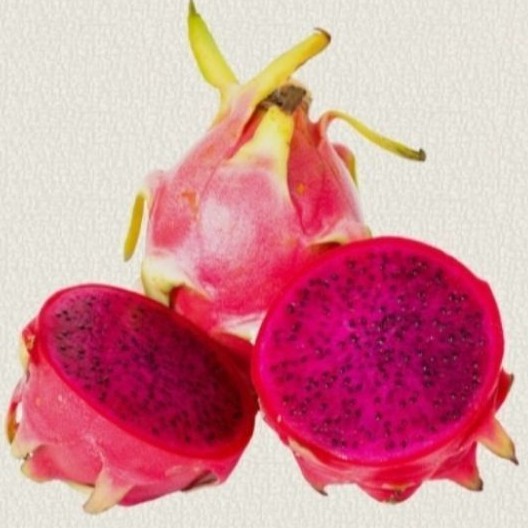 

Buah naga super 1kg