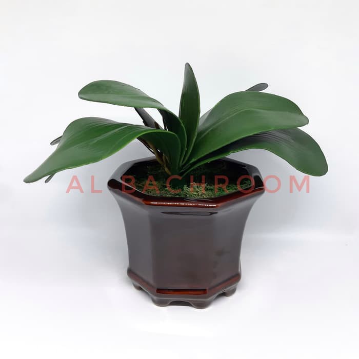 DAUN ANGGREK KUPU KUPU HIAS DA7 B8028 LATEX IMITASI BUATAN DAUN ARTIFICIAL
