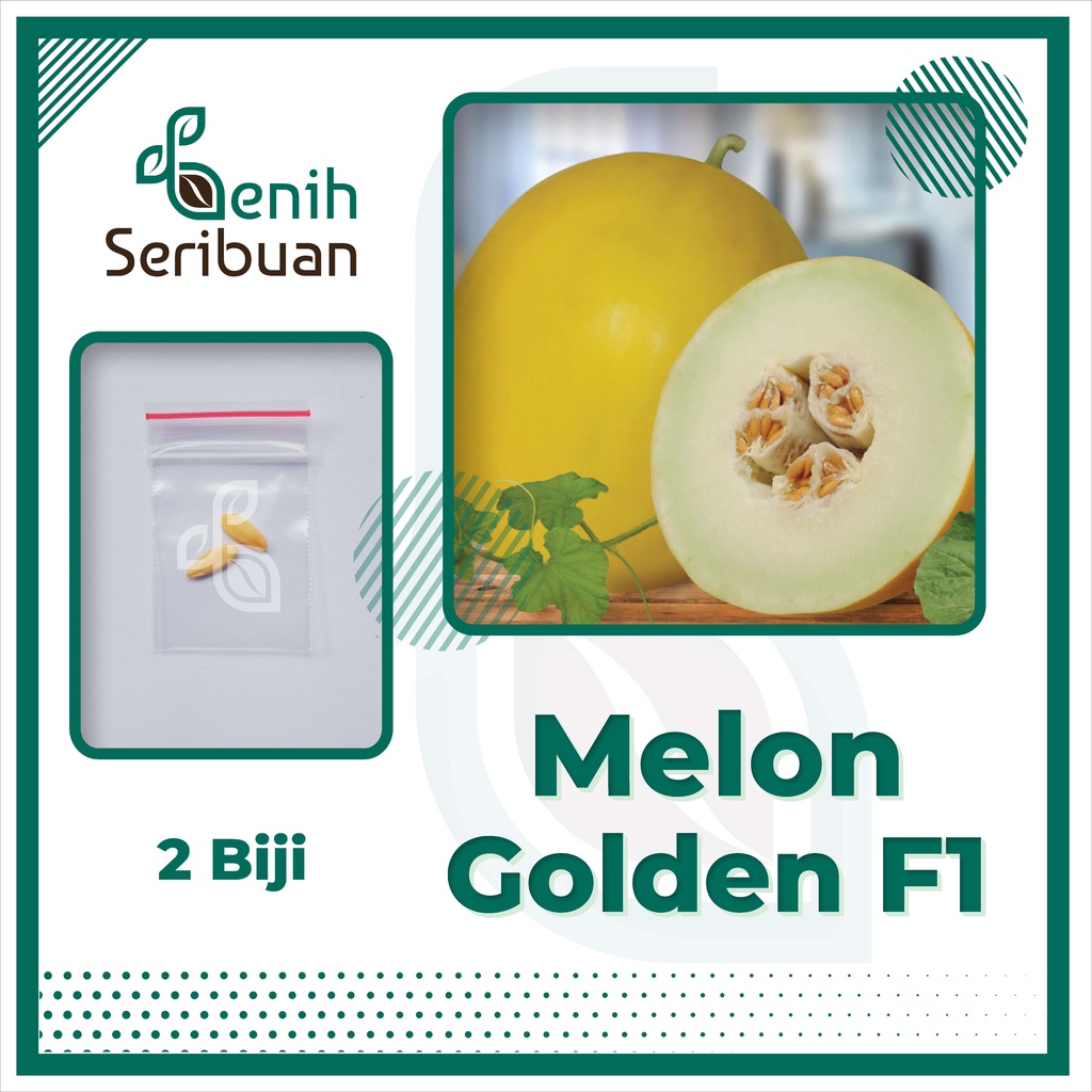 BS-BYL Benih Buah Bibit Tanaman Buah F1 Hibrida Unggul Anggur Strawberry Semangka Melon Labu Pepaya Jambu Blackberry Ciplukan Raspberry dll-MELON GOLDEN