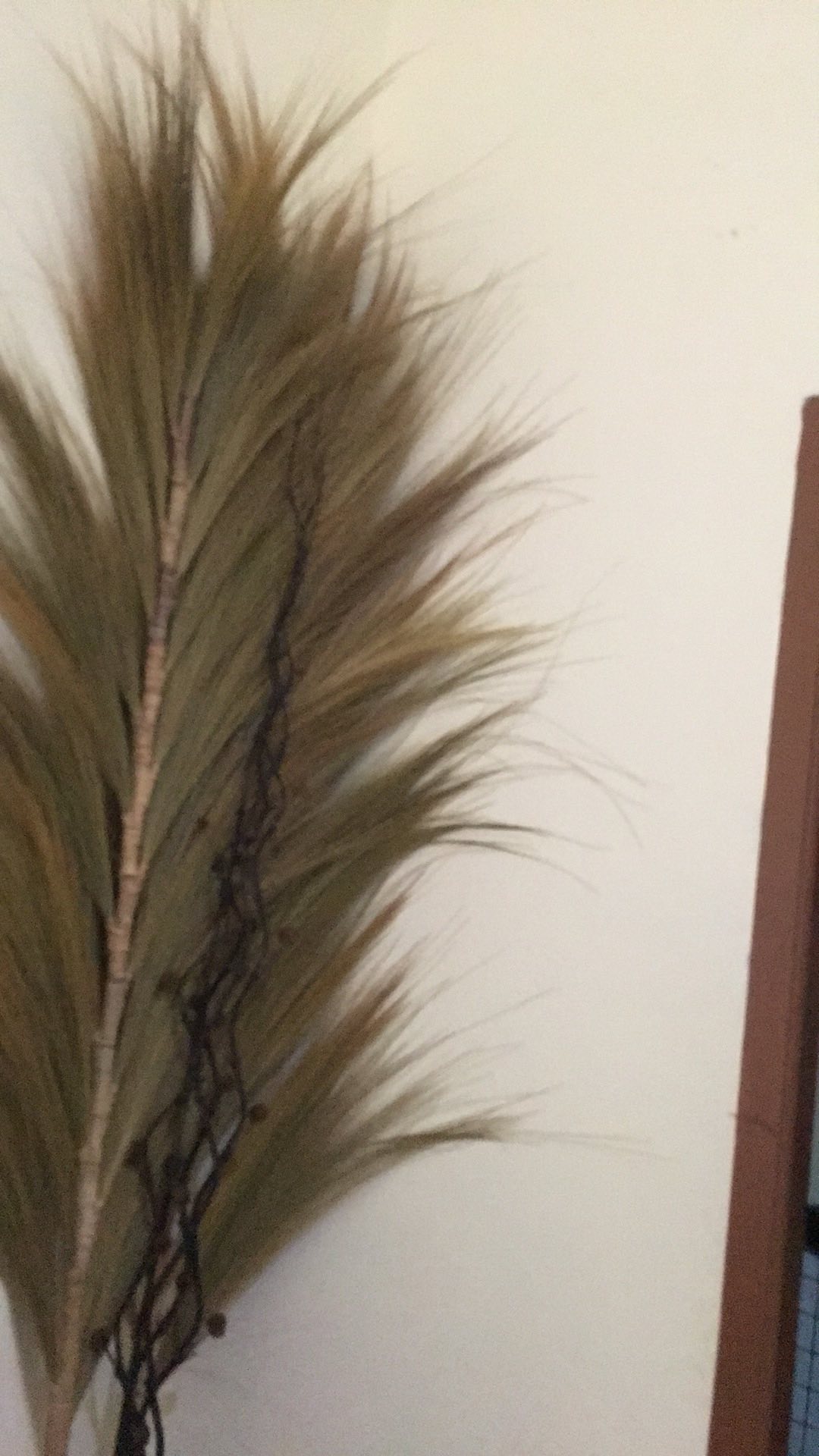 Paket Termurah Homedecor Rayung Rustic Dekorasi Rayung Kering Bunga Rayung Panjang Rayung Natural