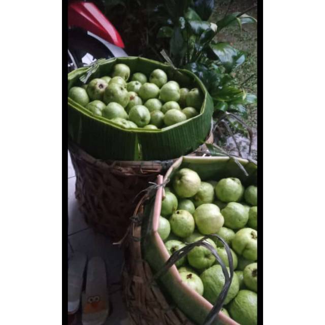 

Jambu crystal