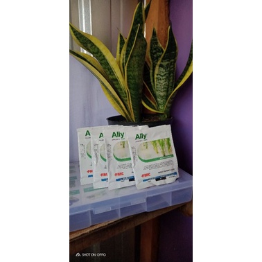 ALLY WG / HERBISIDA PRA TUMBUH / OBAT RUMPUT