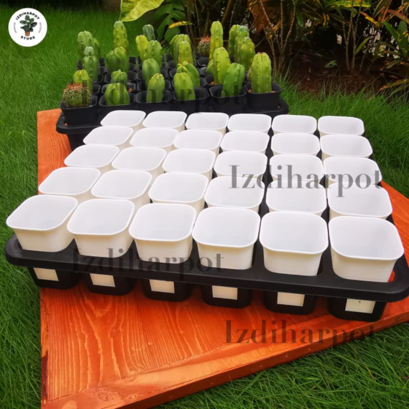 1 SET TRAY LUBANG 30 + POT NKT KOTAK 5CM PUTIH 30 PCS | TRAY SEMAI BIBIT