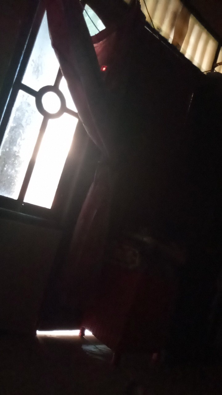 Mug Plastik/gelas Plastik Gagang / Gelas Minum Motif Animal / Gelas Minum Murah