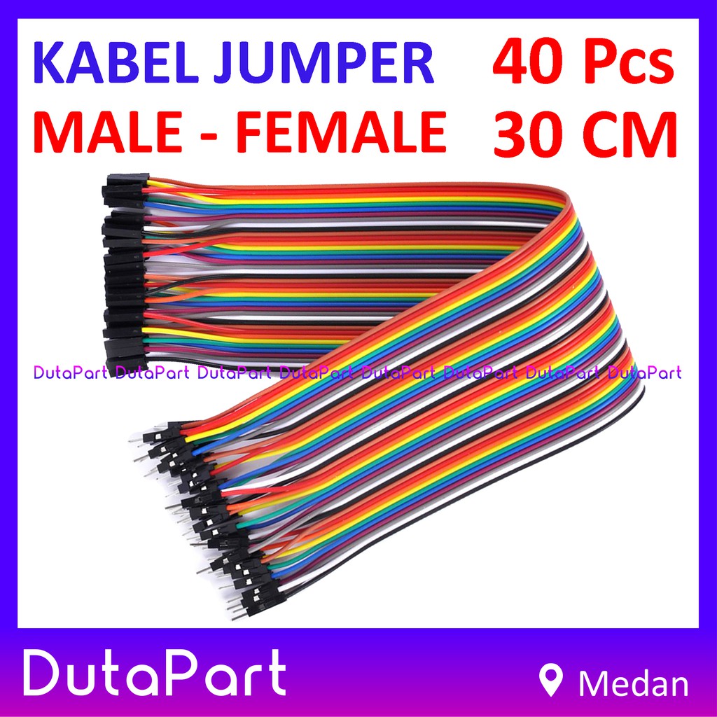 40Pcs Kabel Jumper 30cm MALE to FEMALE Dupont Cable Wire Pelangi