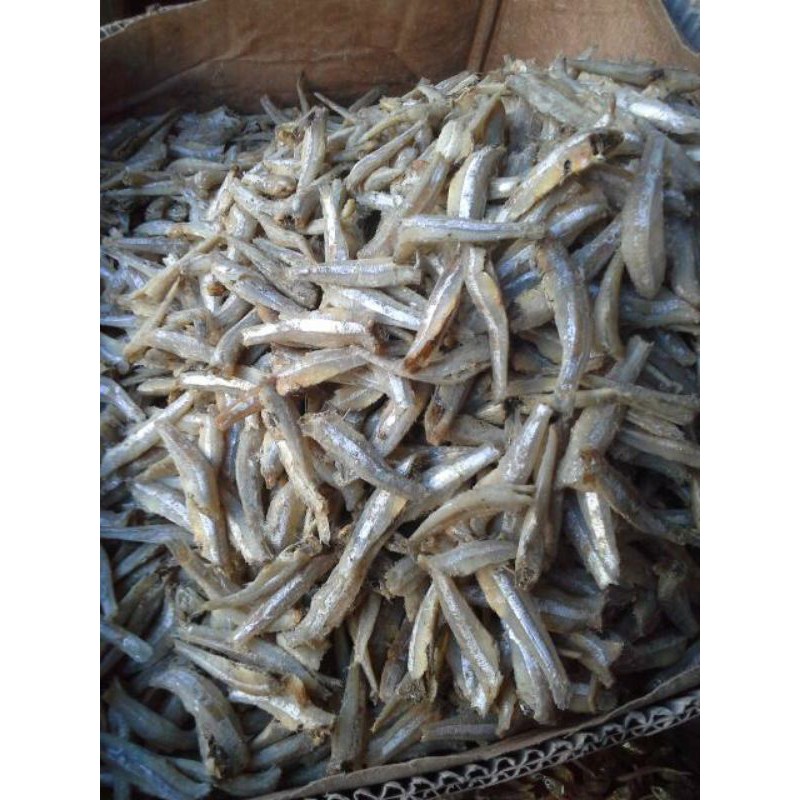 

Aneka ikan teri