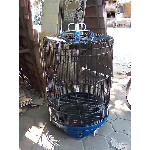 sangkar murai harian / sangkar murai batu / kandang murai / variasi sangkar / sangkar harian