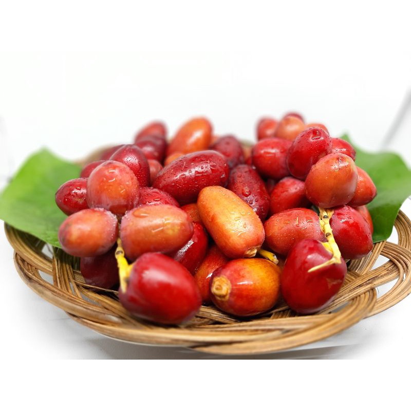 

Kurma muda promil merah fresh ruthob mengkel gratis testpack