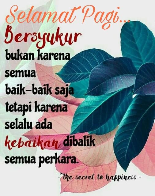 Pisau Acar Stainless Gagang Kayu Dan Plastik