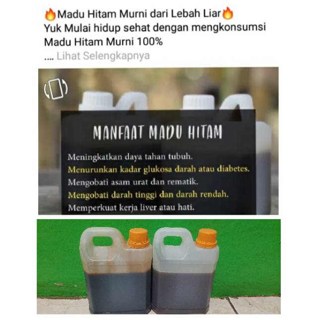 

Madu hutan asli jambi