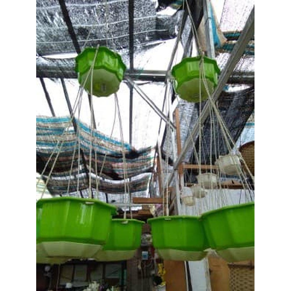 Promo POT ENOKI HIJAU (GANTUNG) D-5 Diskon